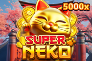 Super Neko